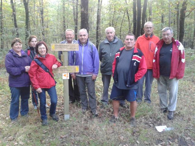 2/2 Marche en forêt de Riaillé le 18/10/2013