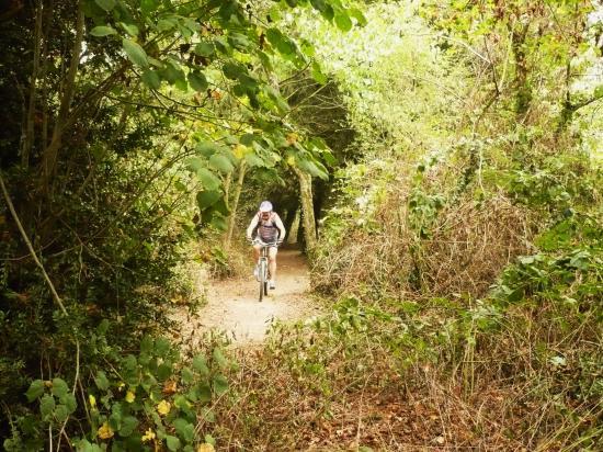 course vtt de COUFFE