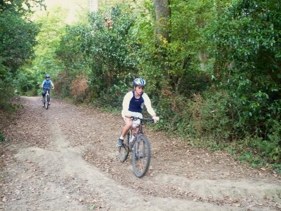 course vtt de COUFFE